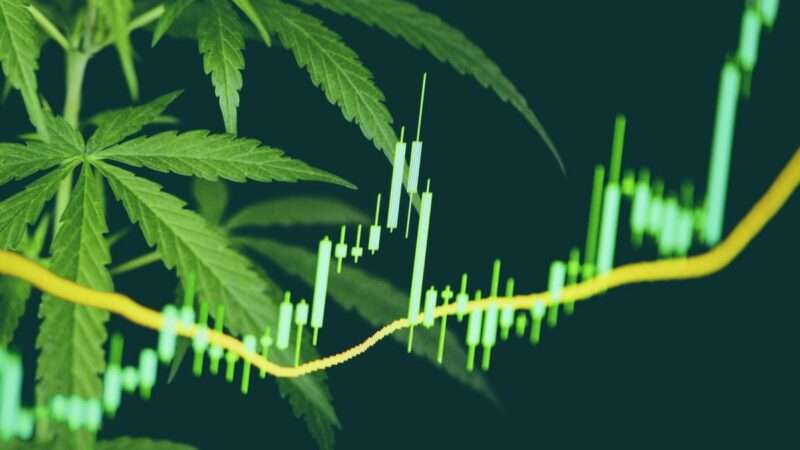 Las mejores empresas para invertir en cannabis